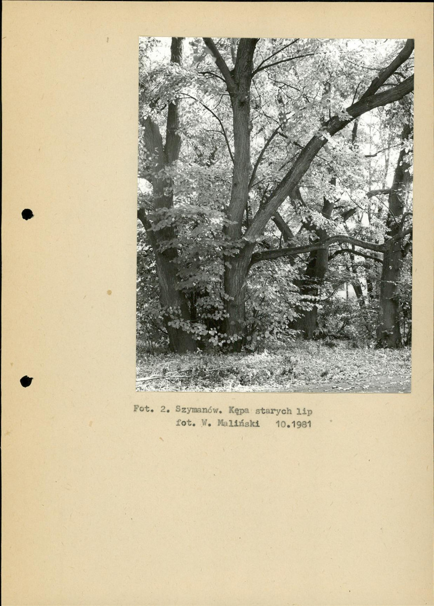Ewidencja parkowa, skan nr 12