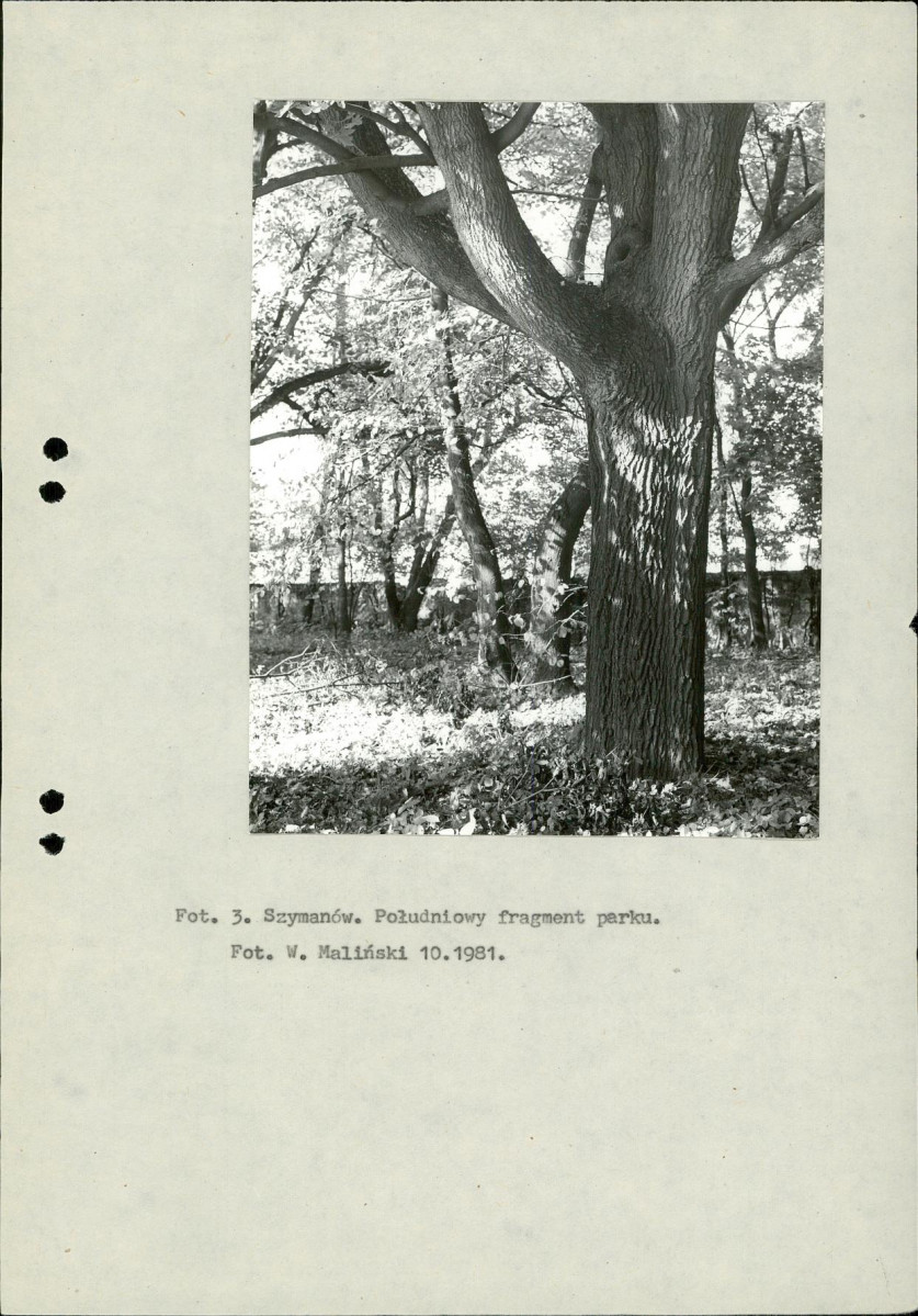 Ewidencja parkowa, skan nr 13