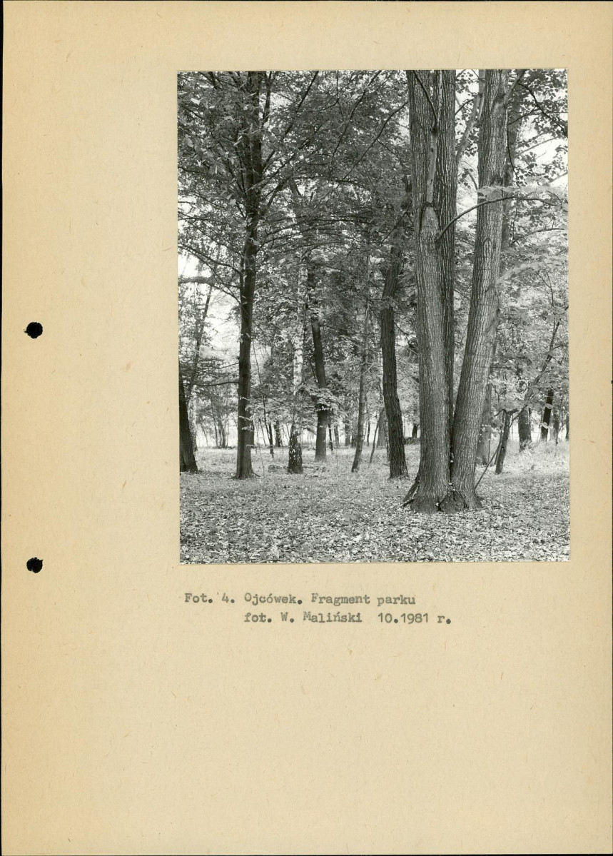 EP - Ewidencja parkowa, skan nr 13
