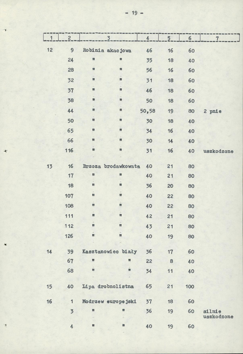 Ewidencja parkowa, skan nr 27