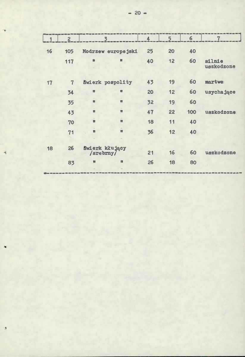 Ewidencja parkowa, skan nr 28