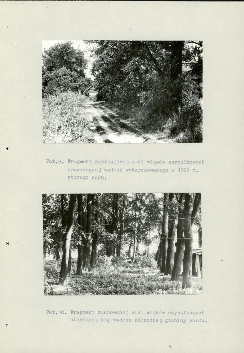 Ewidencja parkowa, skan nr 42