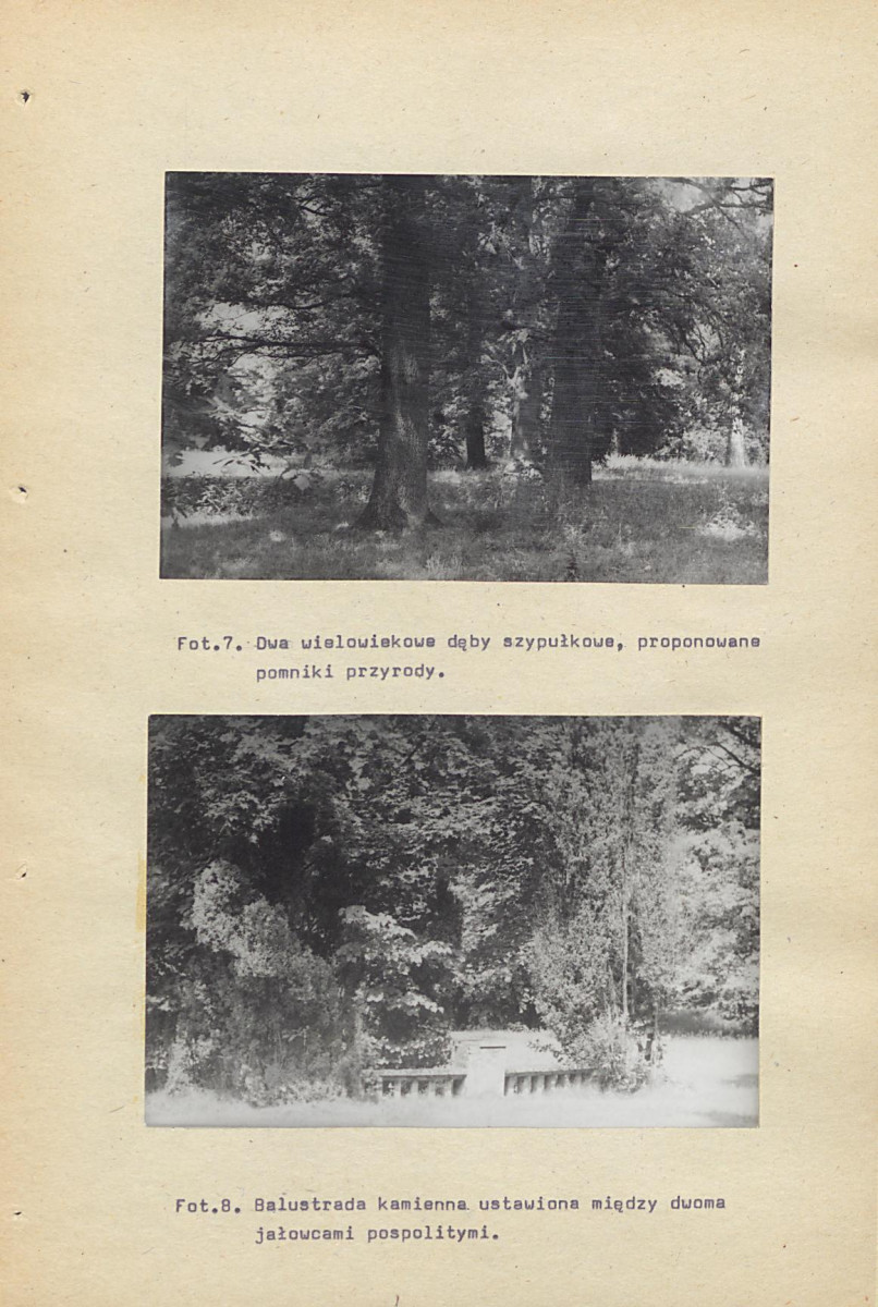 Ewidencja parkowa, skan nr 52