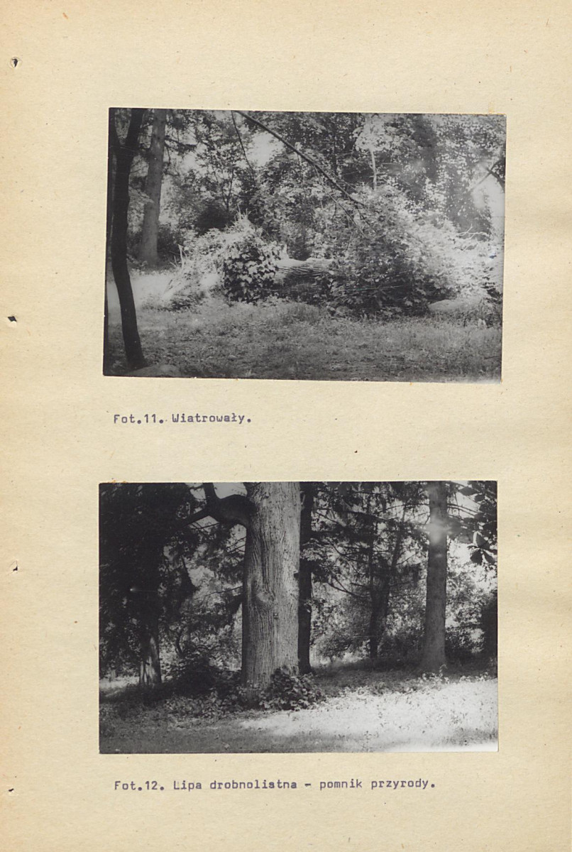 Ewidencja parkowa, skan nr 54