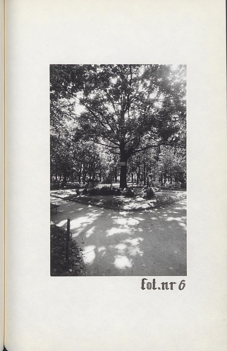 Ewidencja parkowa, skan nr 26