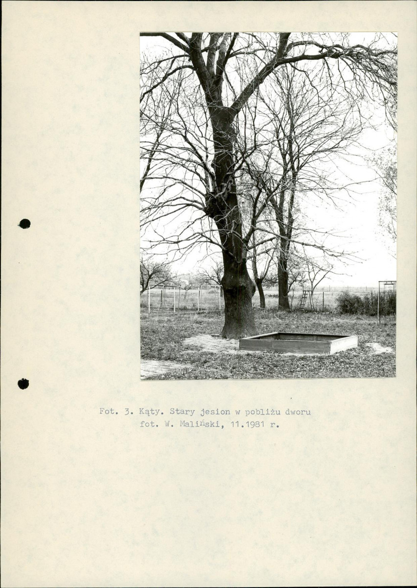 Ewidencja parkowa, skan nr 12