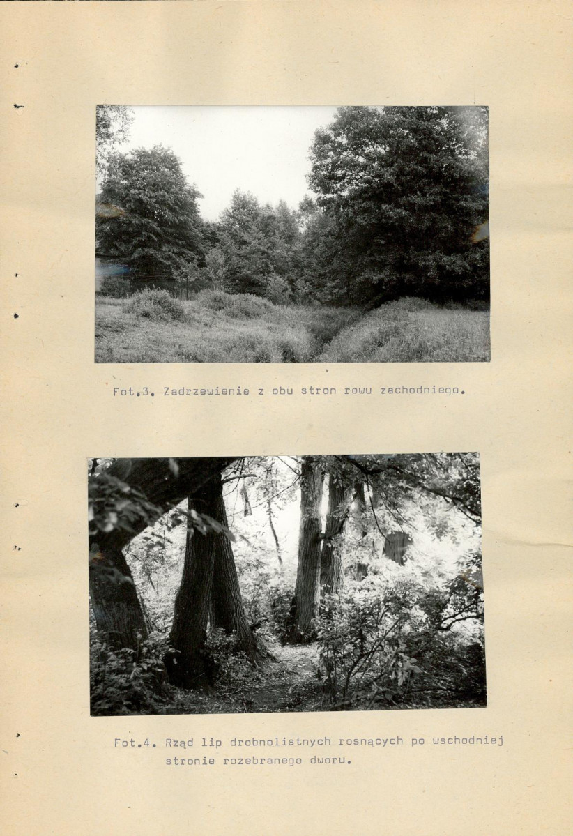 Ewidencja parkowa, skan nr 35