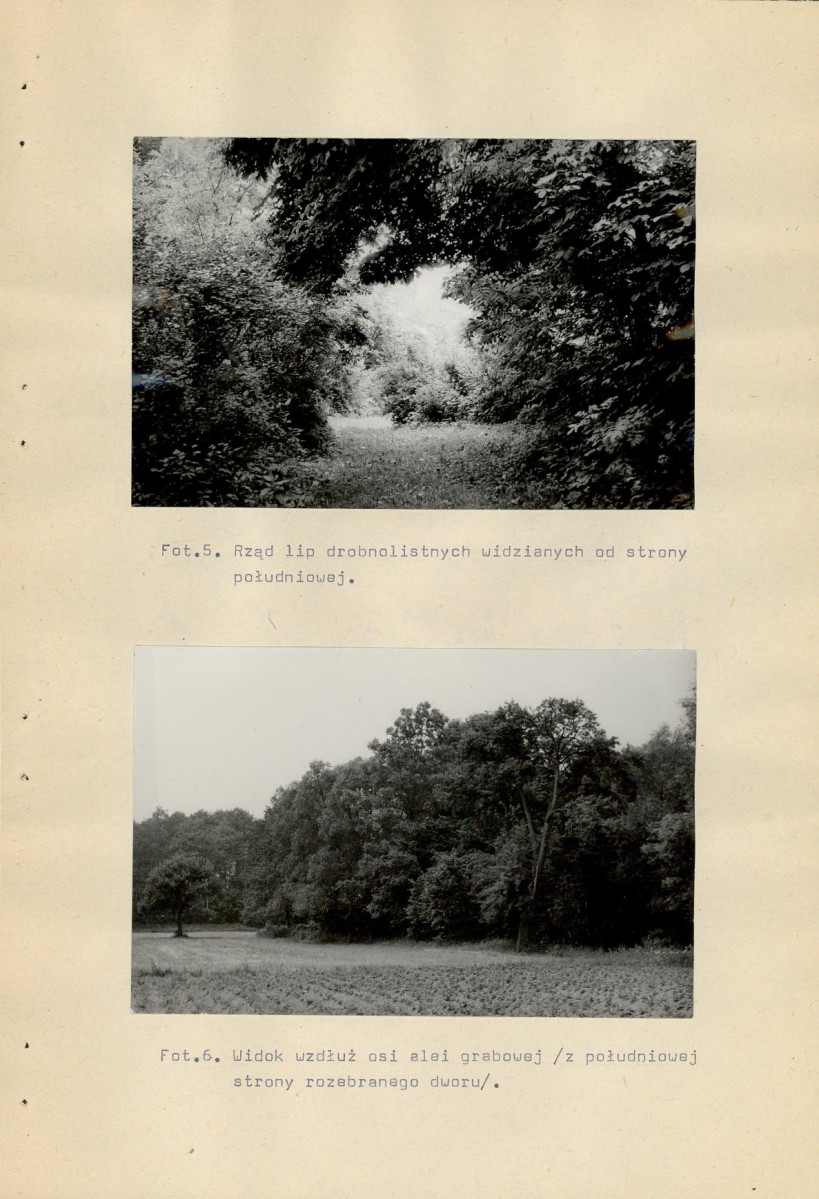 Ewidencja parkowa, skan nr 36