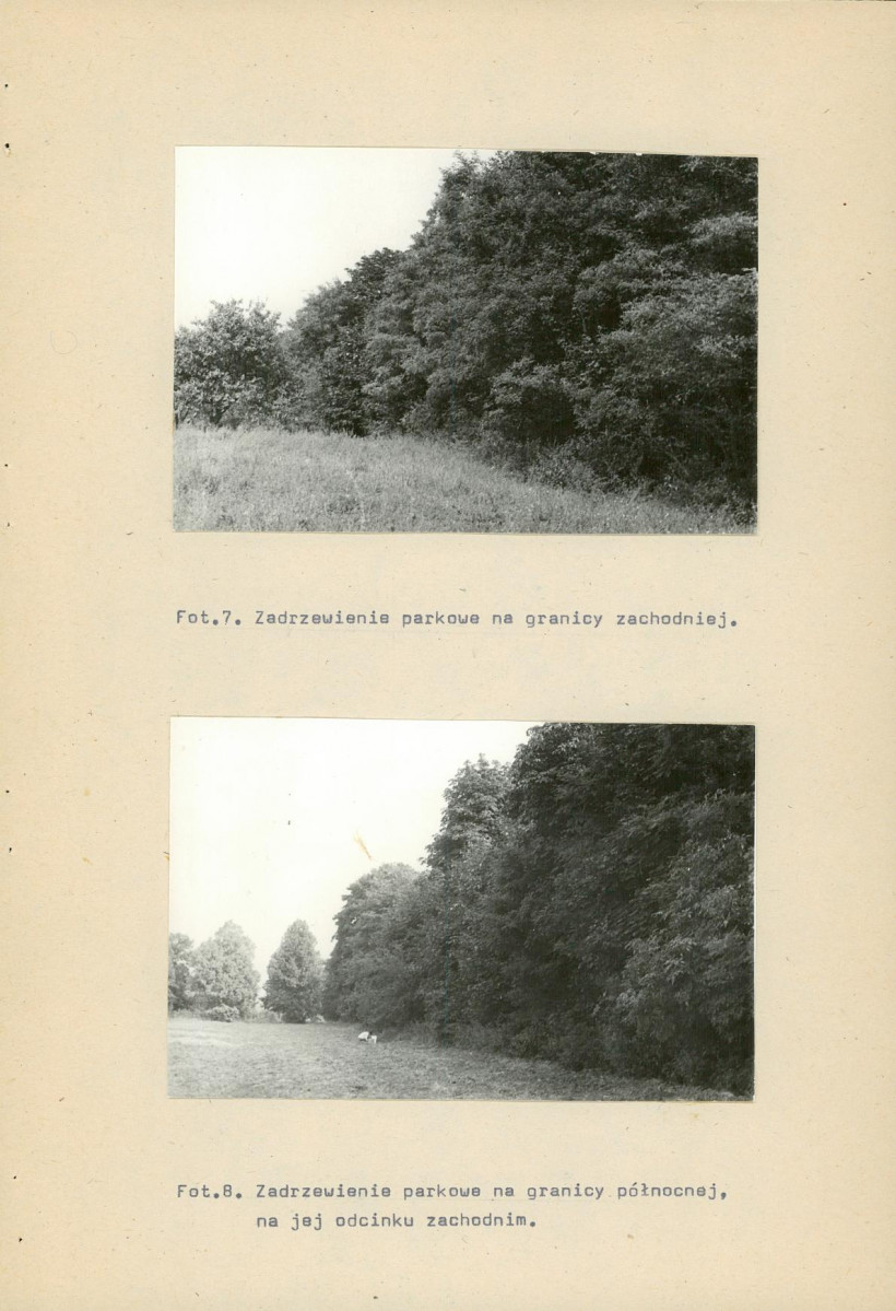 Ewidencja parkowa, skan nr 41