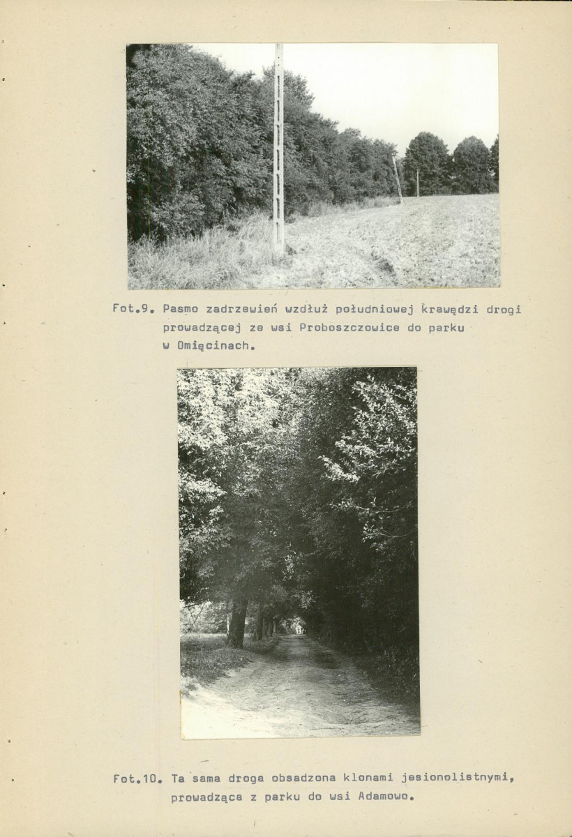Ewidencja parkowa, skan nr 42