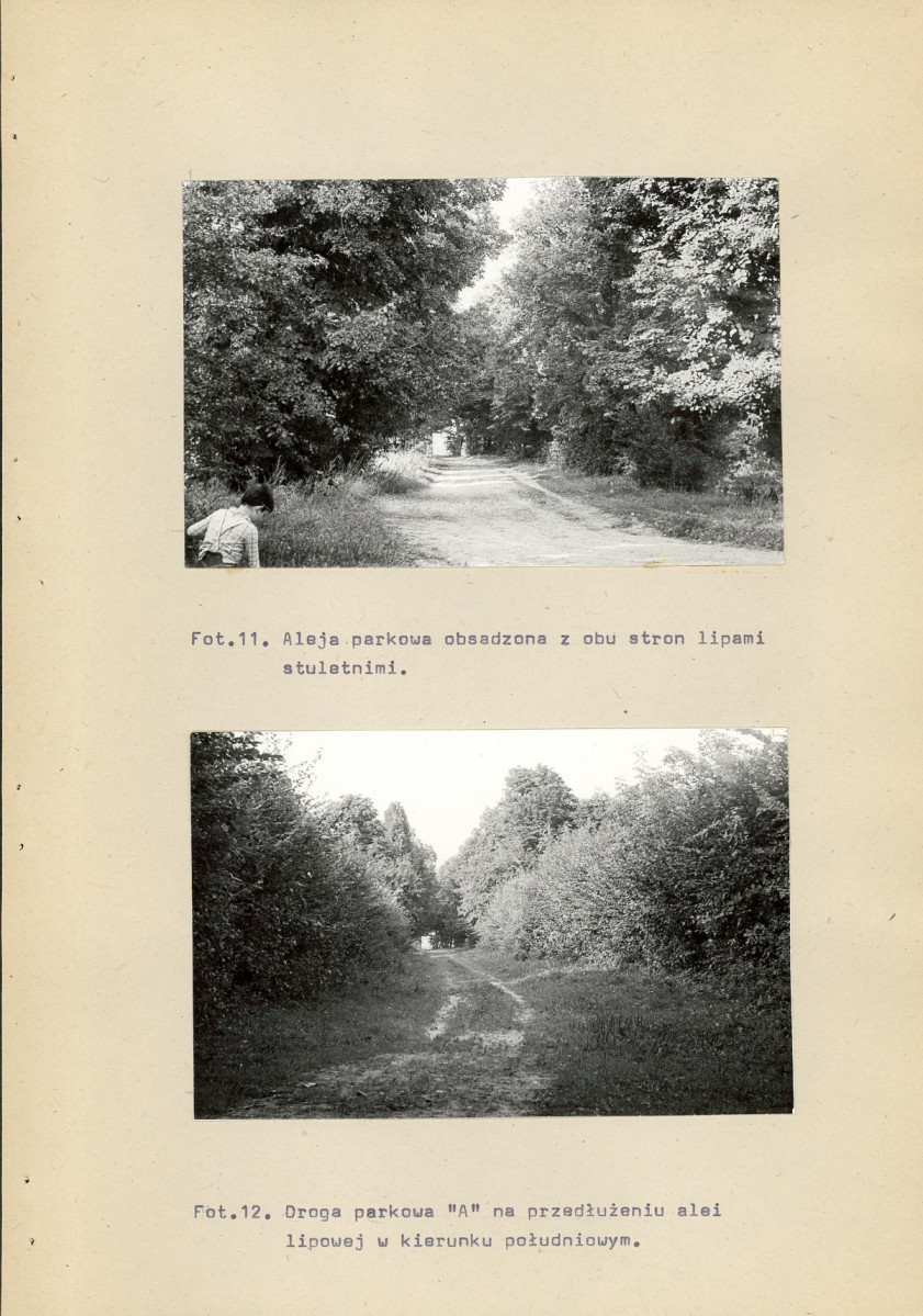 Ewidencja parkowa, skan nr 43