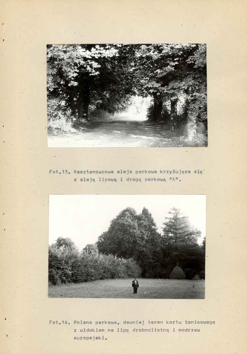 Ewidencja parkowa, skan nr 44