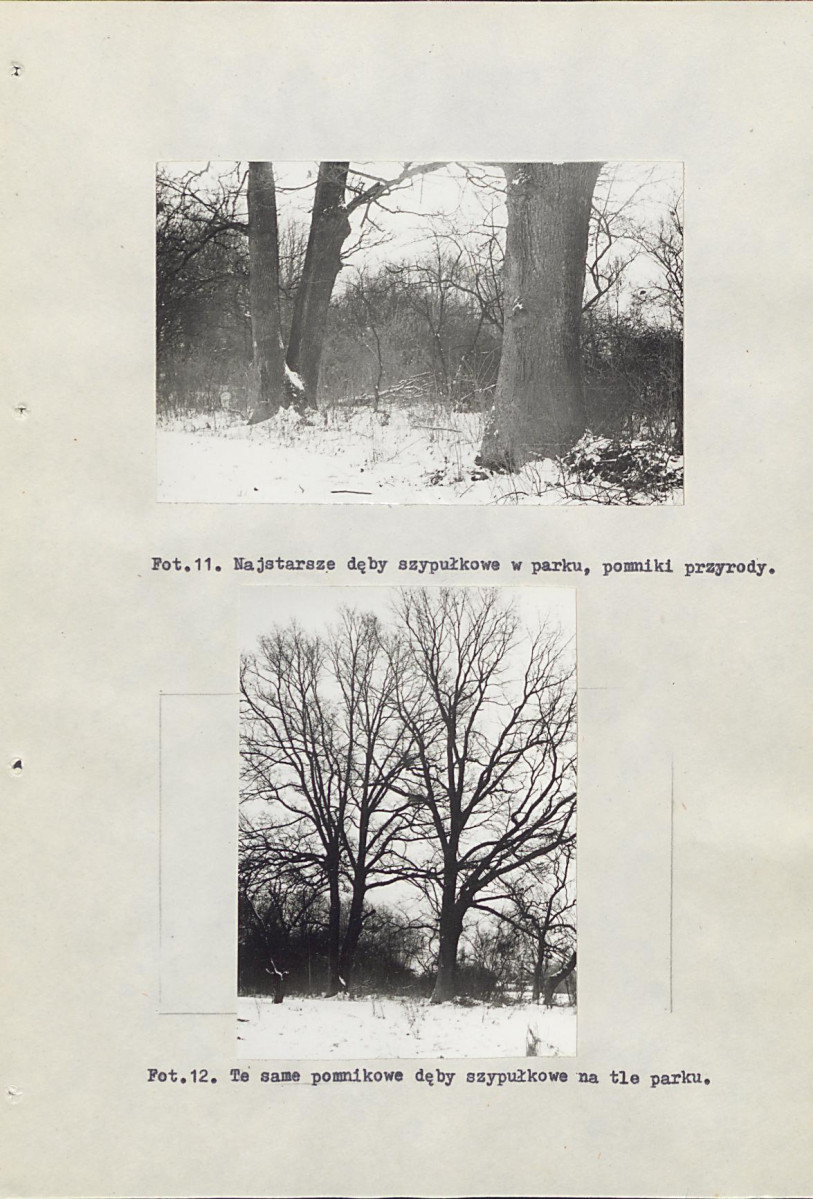 EP - Ewidencja parkowa, skan nr 43