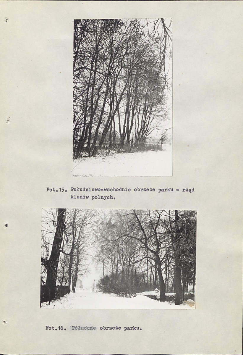 EP - Ewidencja parkowa, skan nr 45