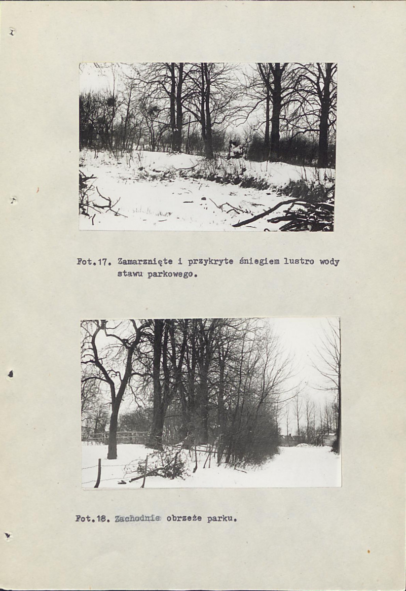 EP - Ewidencja parkowa, skan nr 46