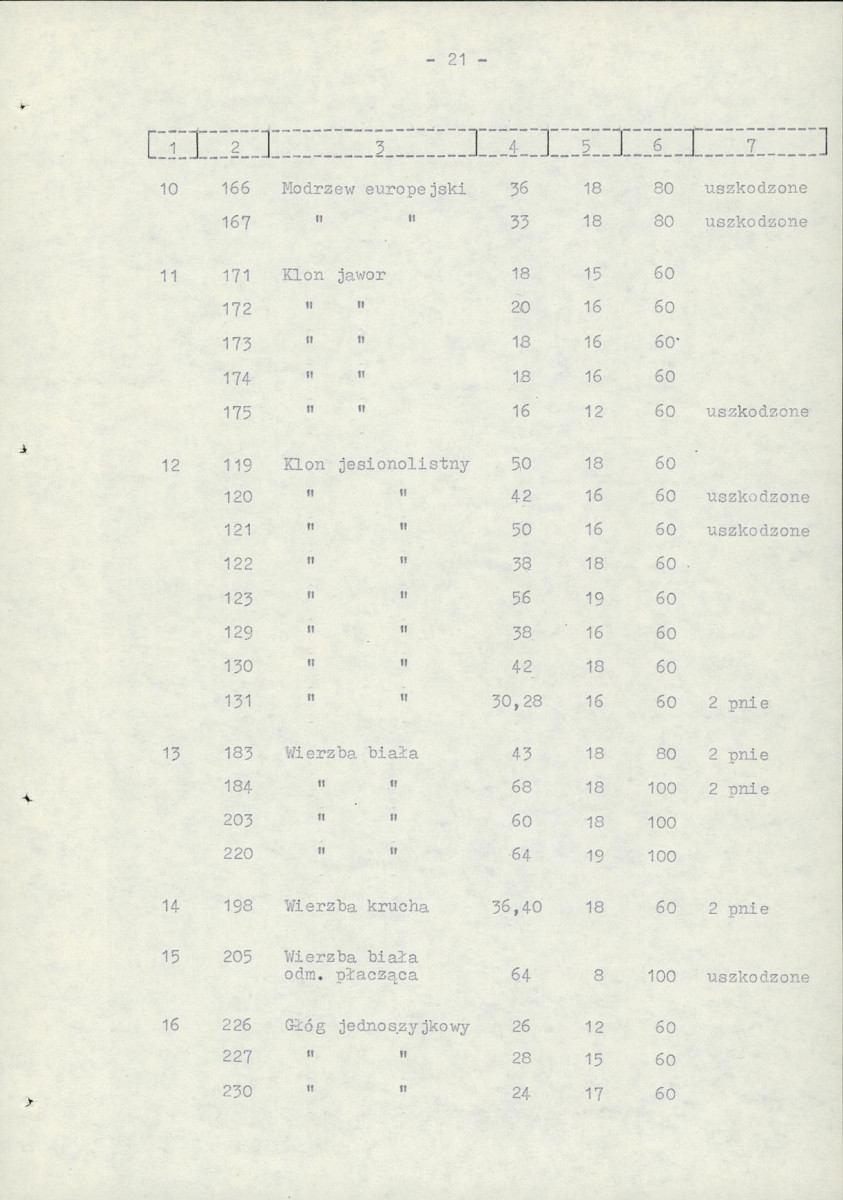 Ewidencja parkowa, skan nr 28