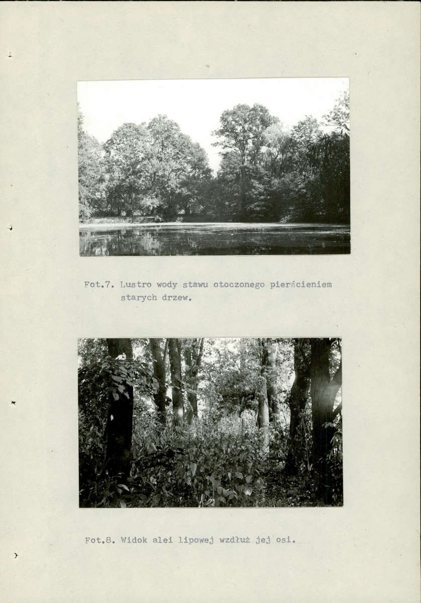 Ewidencja parkowa, skan nr 40