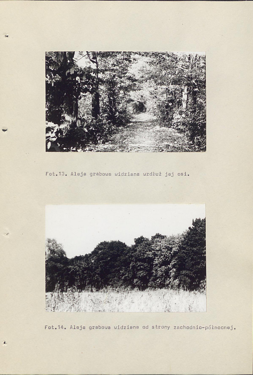 EP - Ewidencja parkowa, skan nr 46