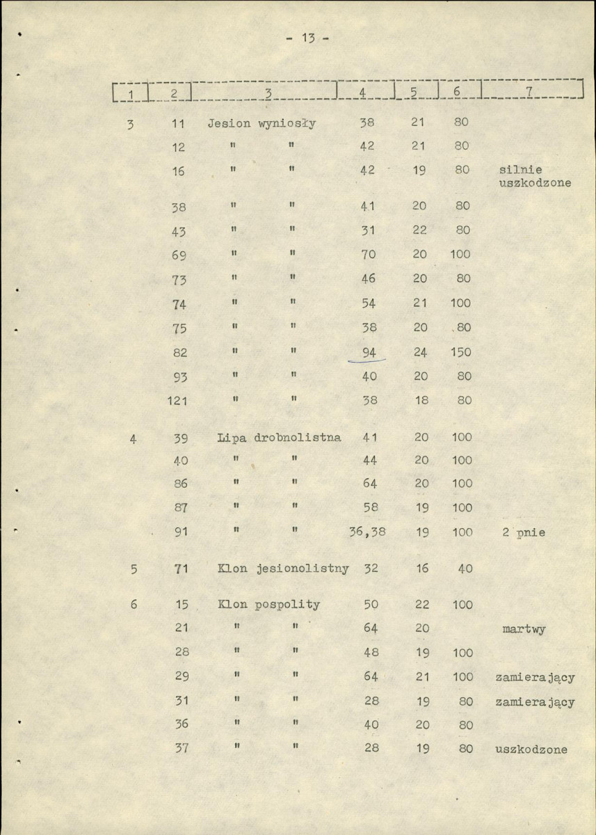 Ewidencja parkowa, skan nr 20