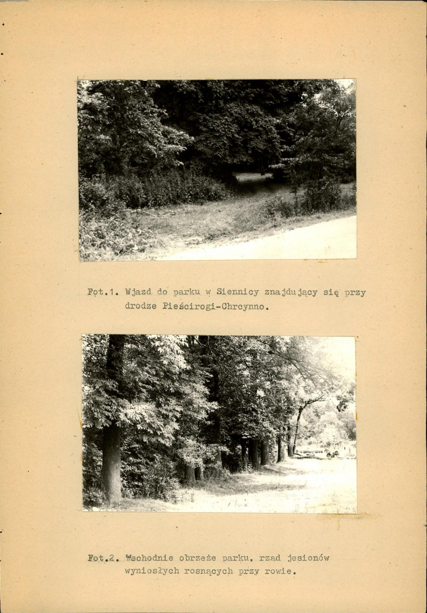 Ewidencja parkowa, skan nr 32