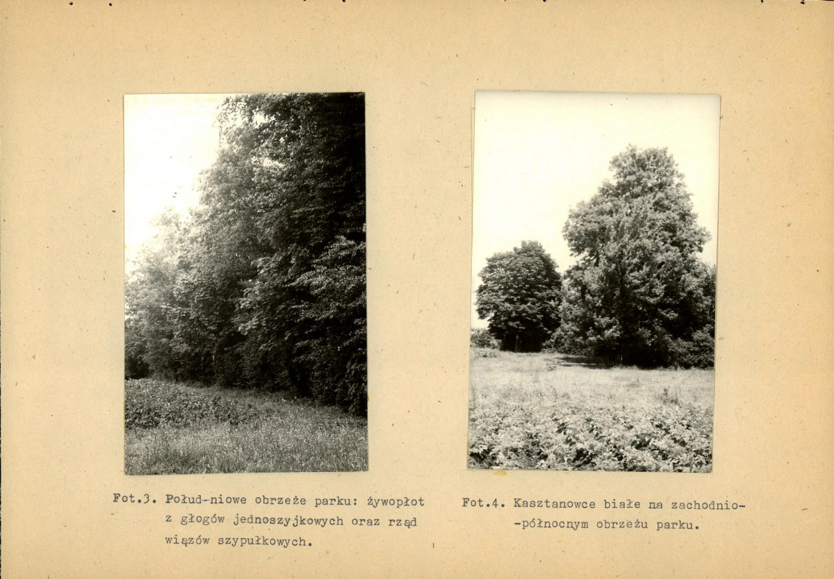 Ewidencja parkowa, skan nr 33
