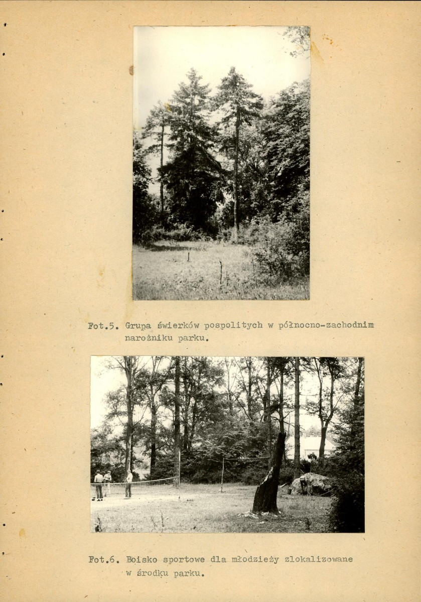 Ewidencja parkowa, skan nr 34