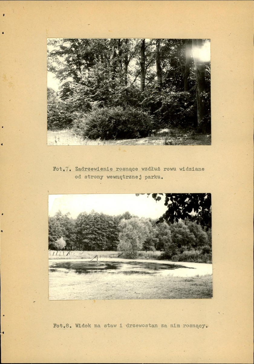 Ewidencja parkowa, skan nr 35