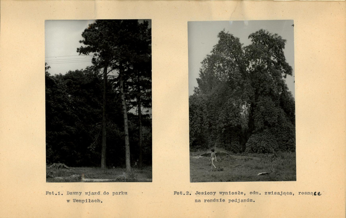 Ewidencja parkowa, skan nr 33