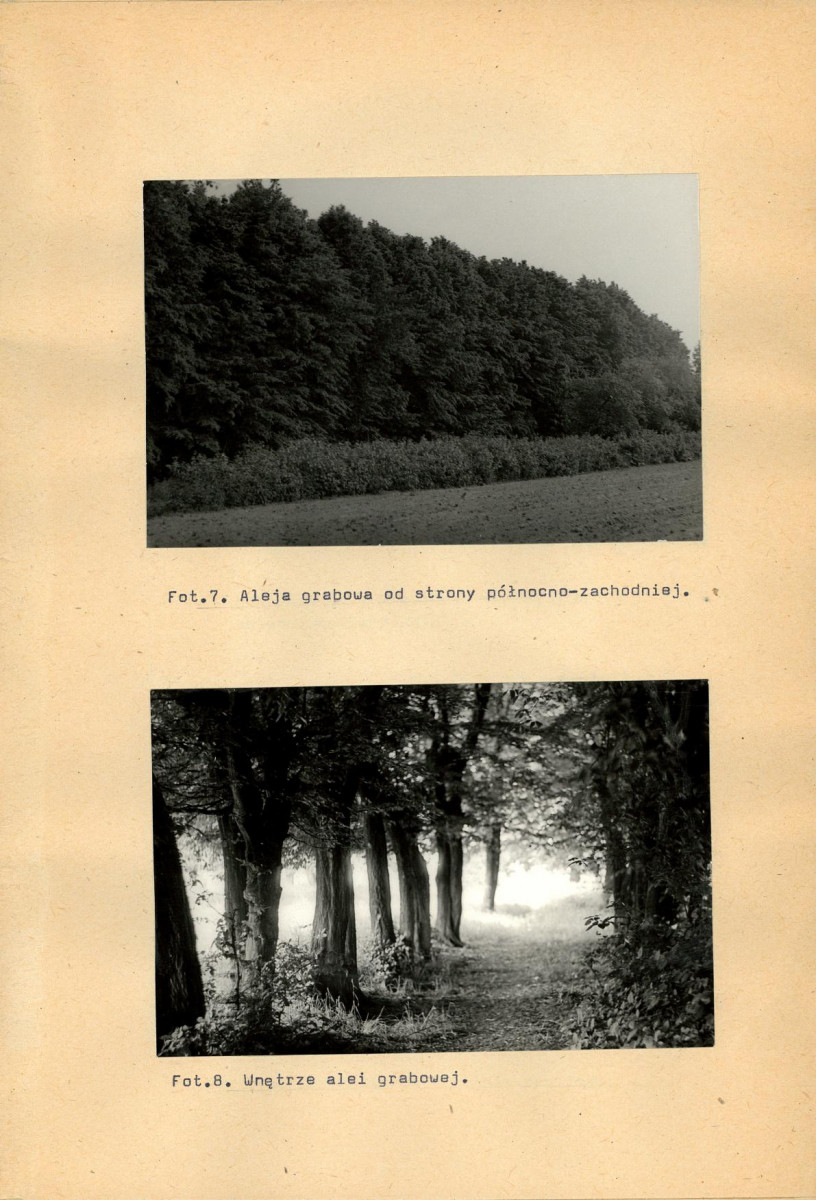 Ewidencja parkowa, skan nr 35