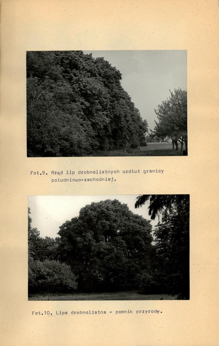 Ewidencja parkowa, skan nr 36