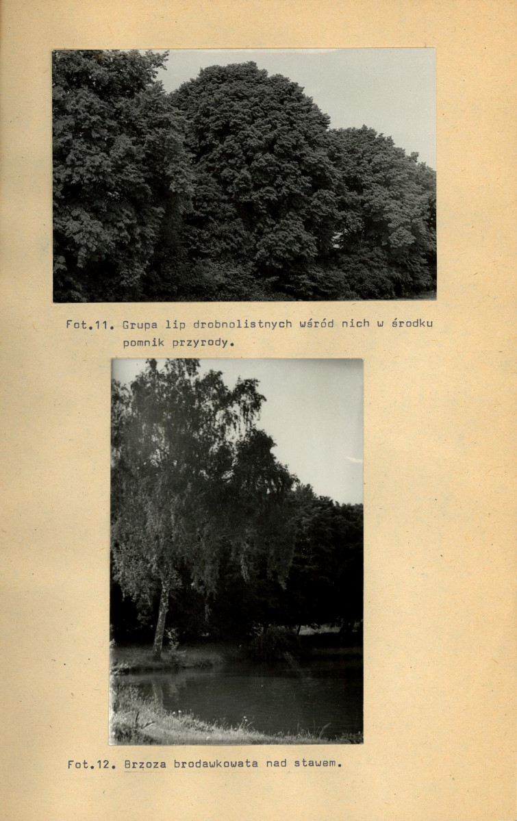 Ewidencja parkowa, skan nr 37
