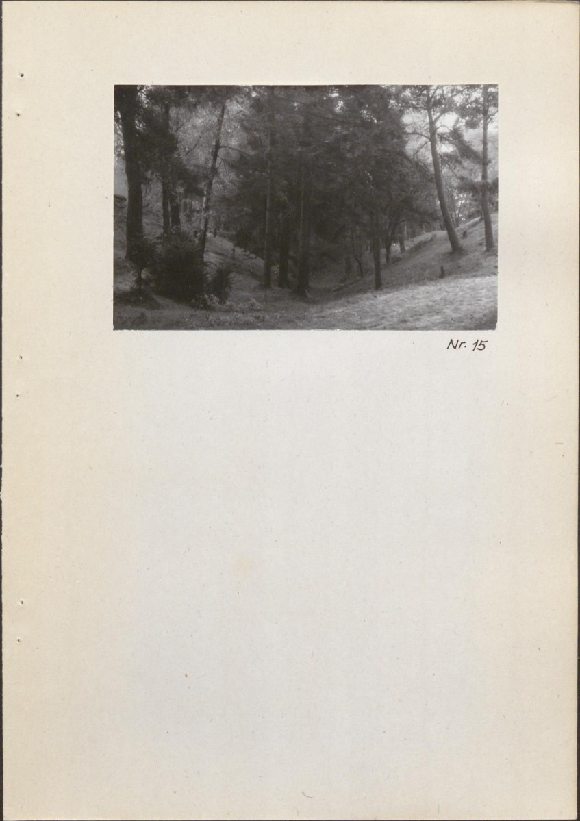 EP - Ewidencja parkowa, skan nr 32