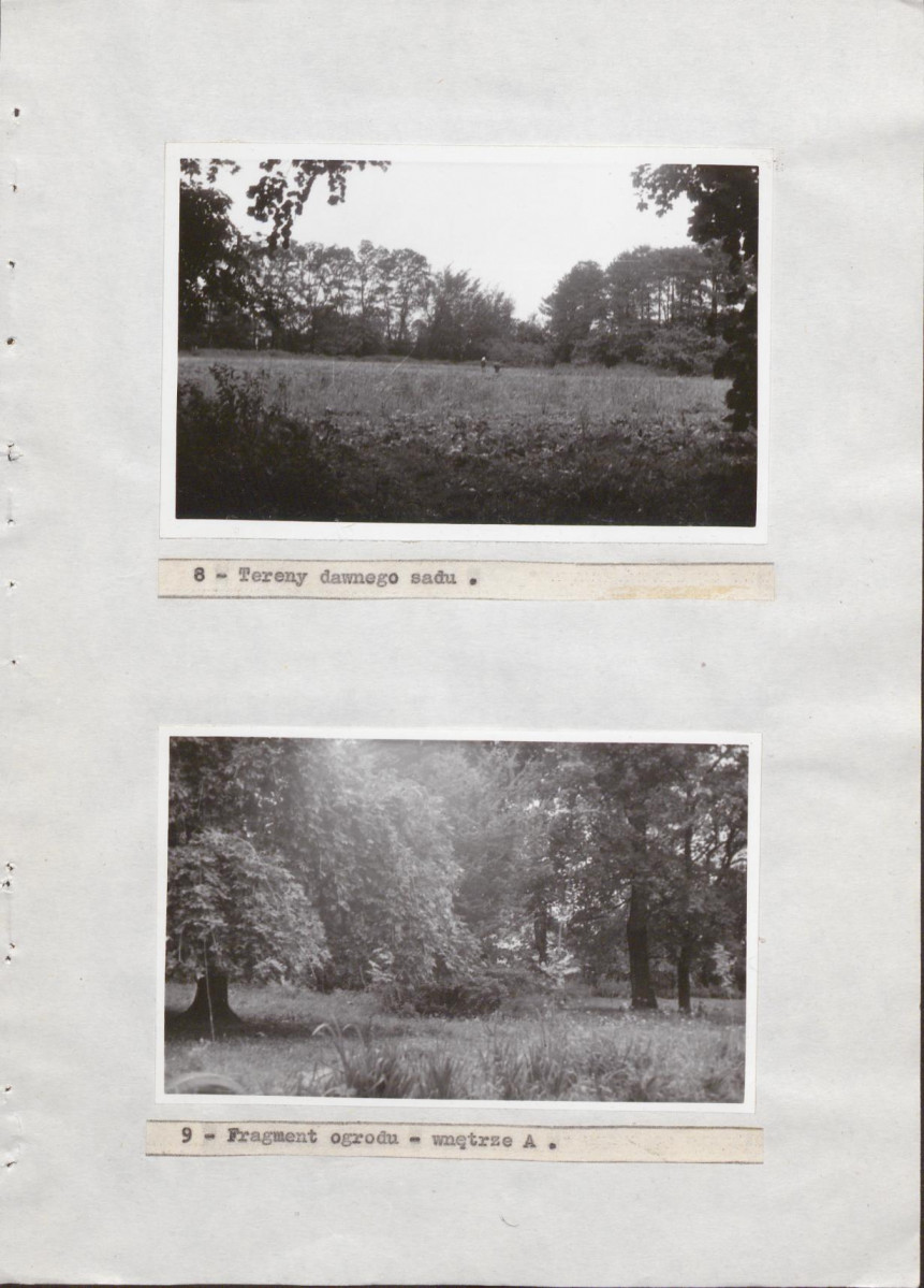 Ewidencja parkowa, skan nr 31