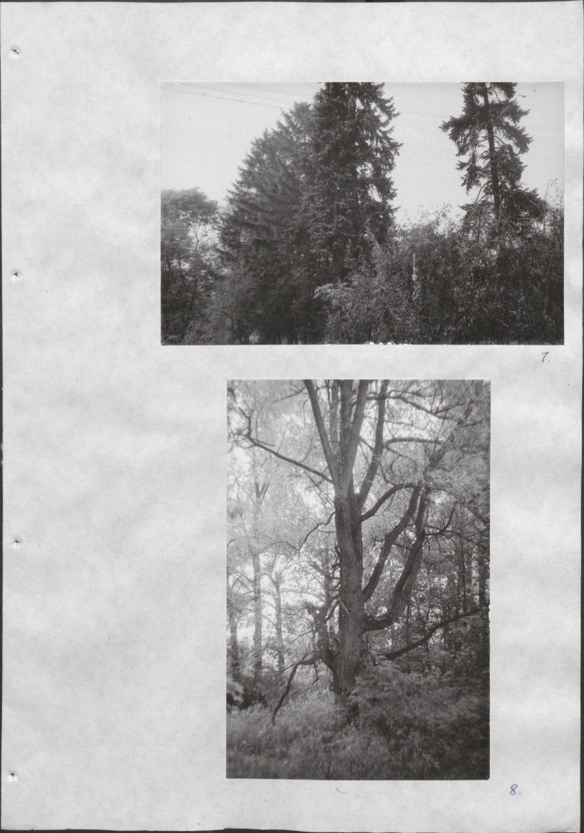 Ewidencja parkowa, skan nr 30