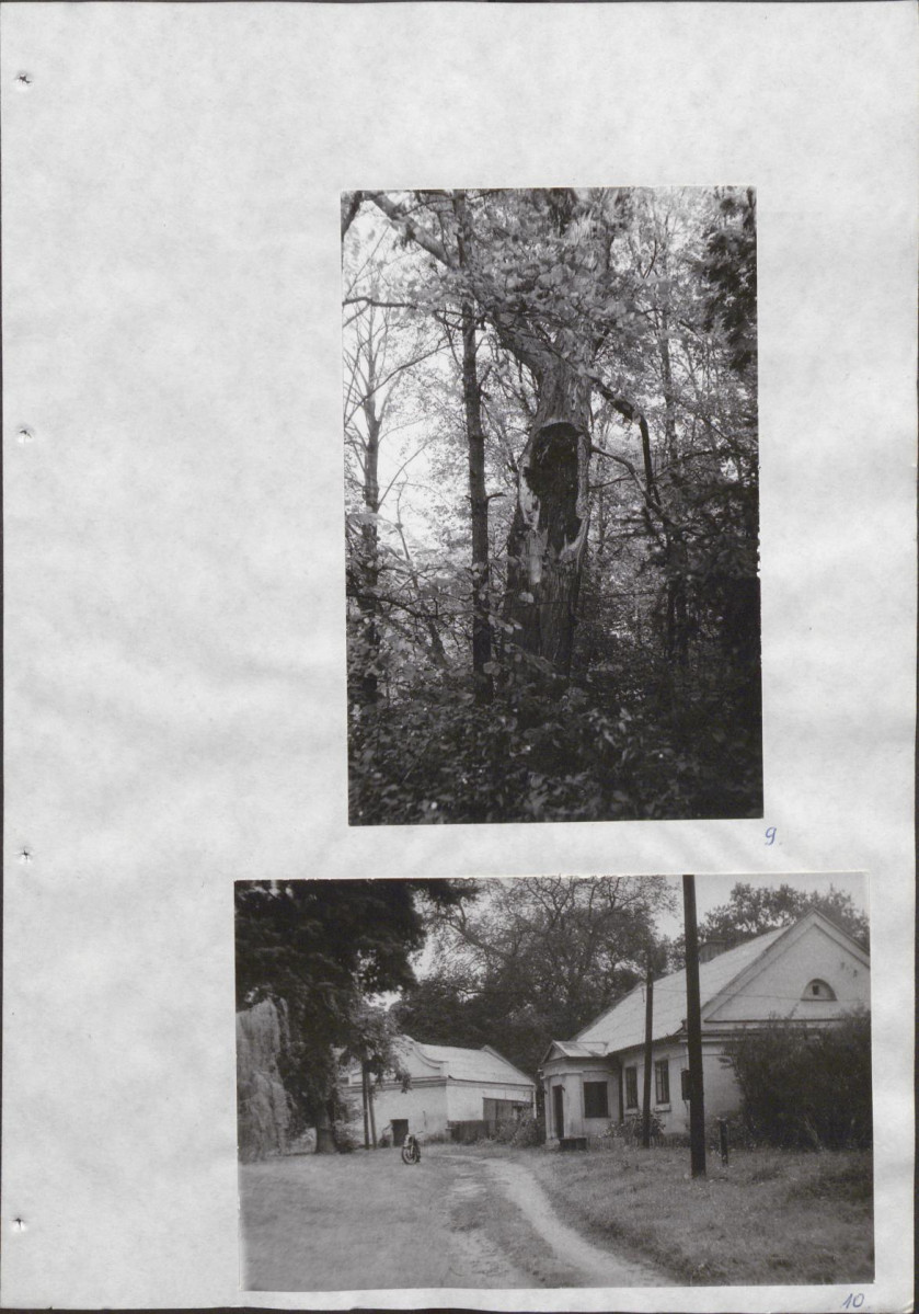 Ewidencja parkowa, skan nr 31