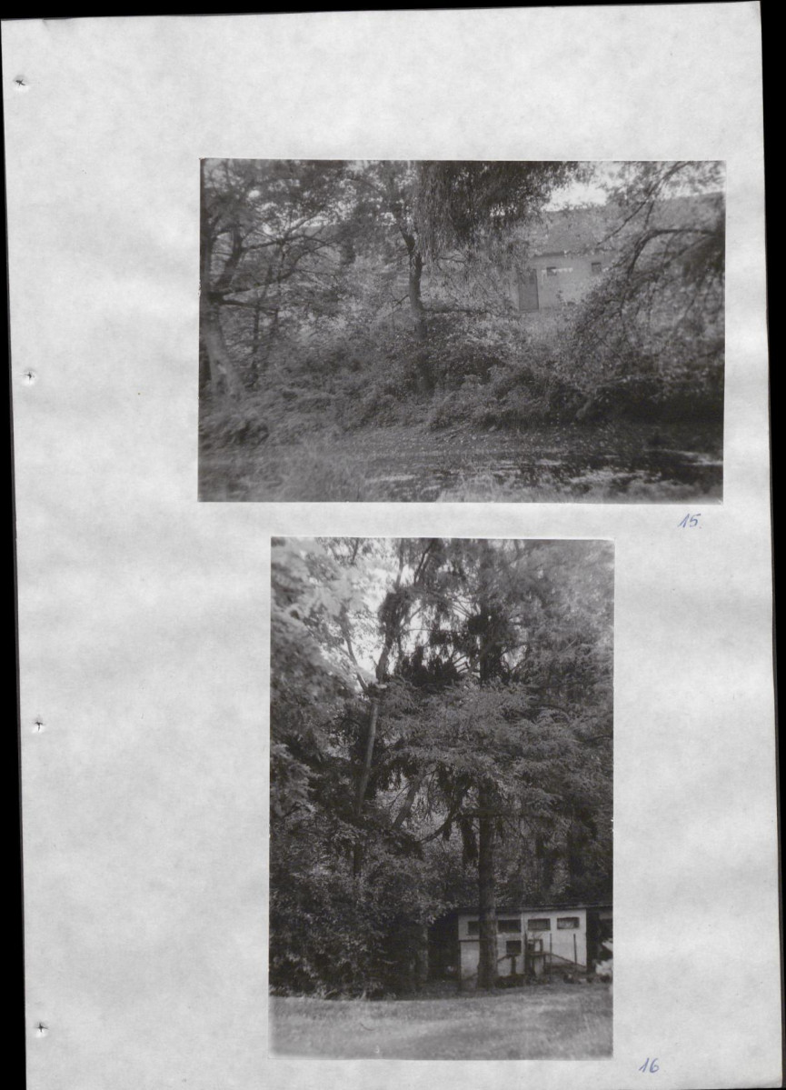 Ewidencja parkowa, skan nr 34