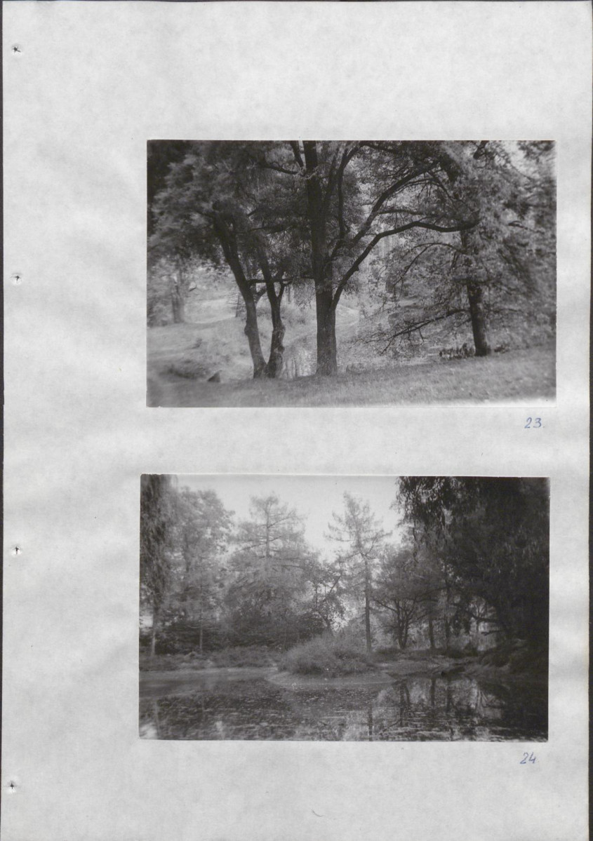Ewidencja parkowa, skan nr 38