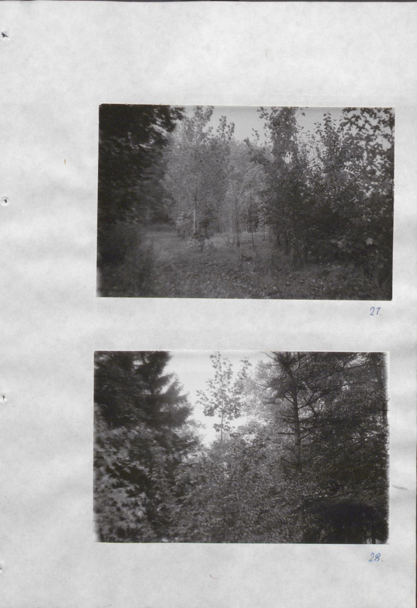 Ewidencja parkowa, skan nr 40