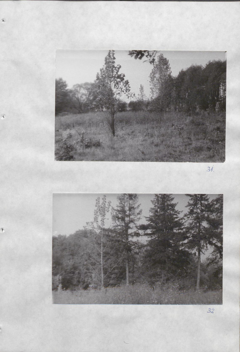 Ewidencja parkowa, skan nr 42