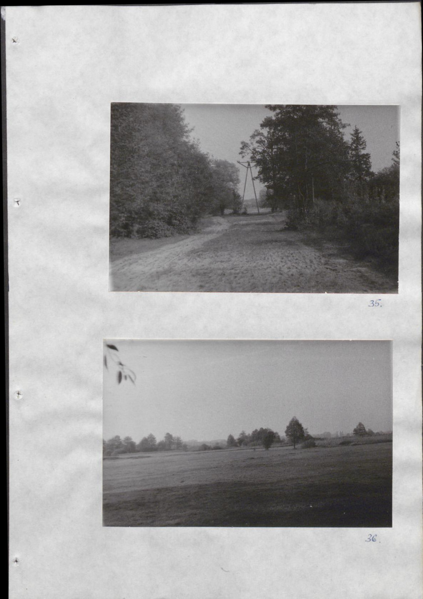 Ewidencja parkowa, skan nr 44