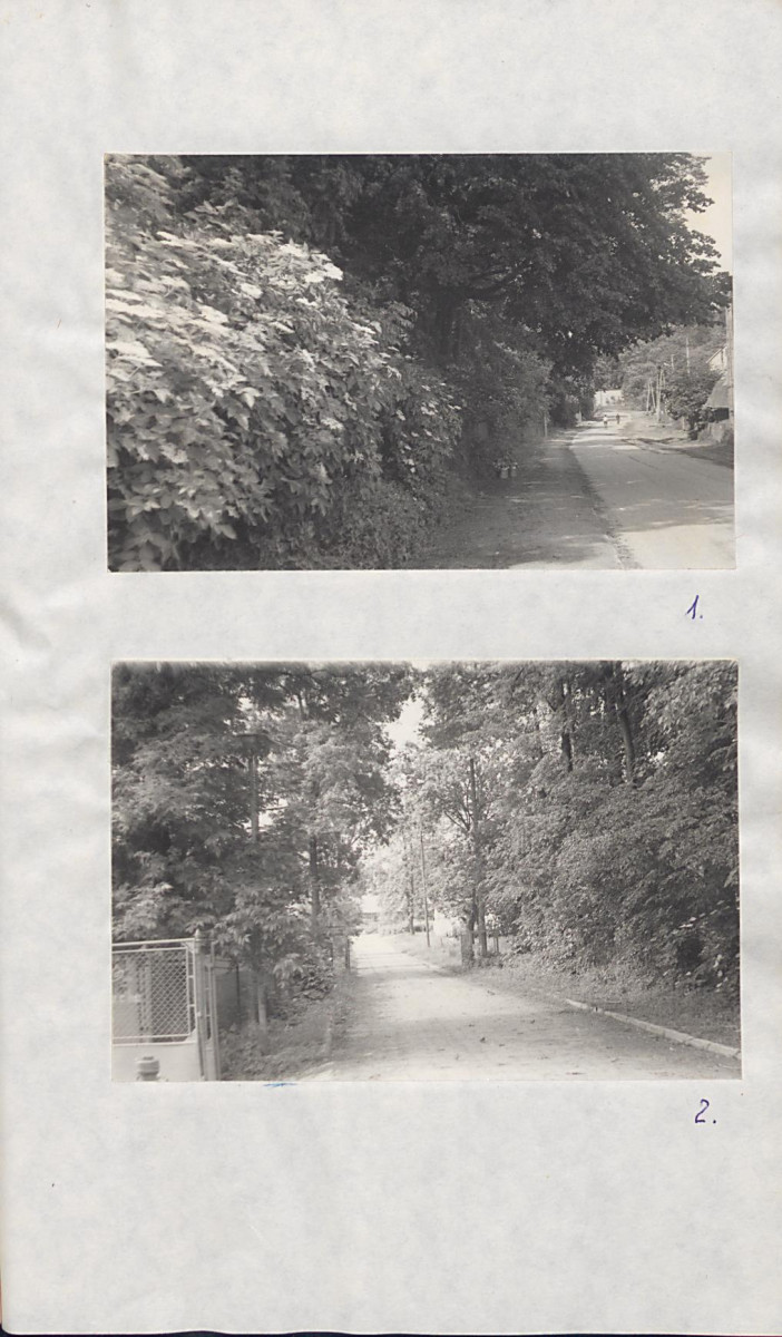 EP - Ewidencja parkowa, skan nr 29