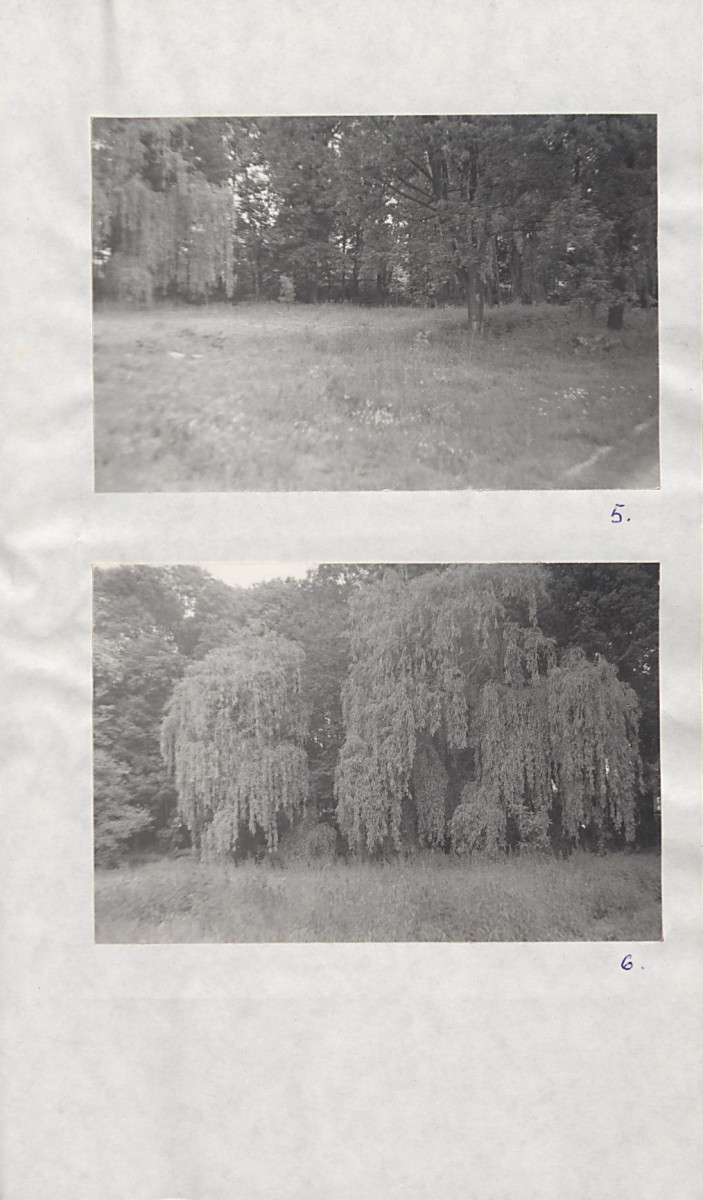 EP - Ewidencja parkowa, skan nr 31