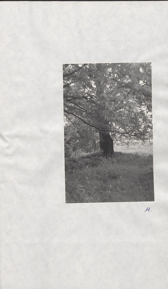 EP - Ewidencja parkowa, skan nr 34