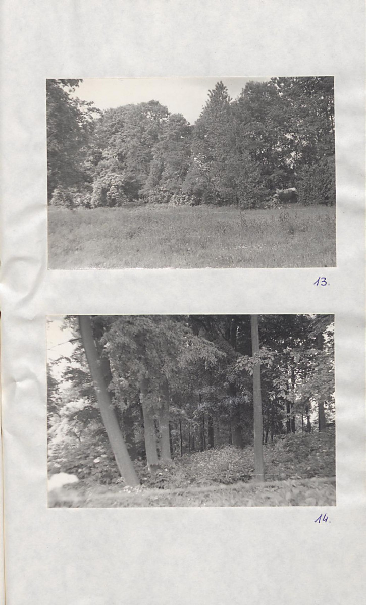 EP - Ewidencja parkowa, skan nr 35