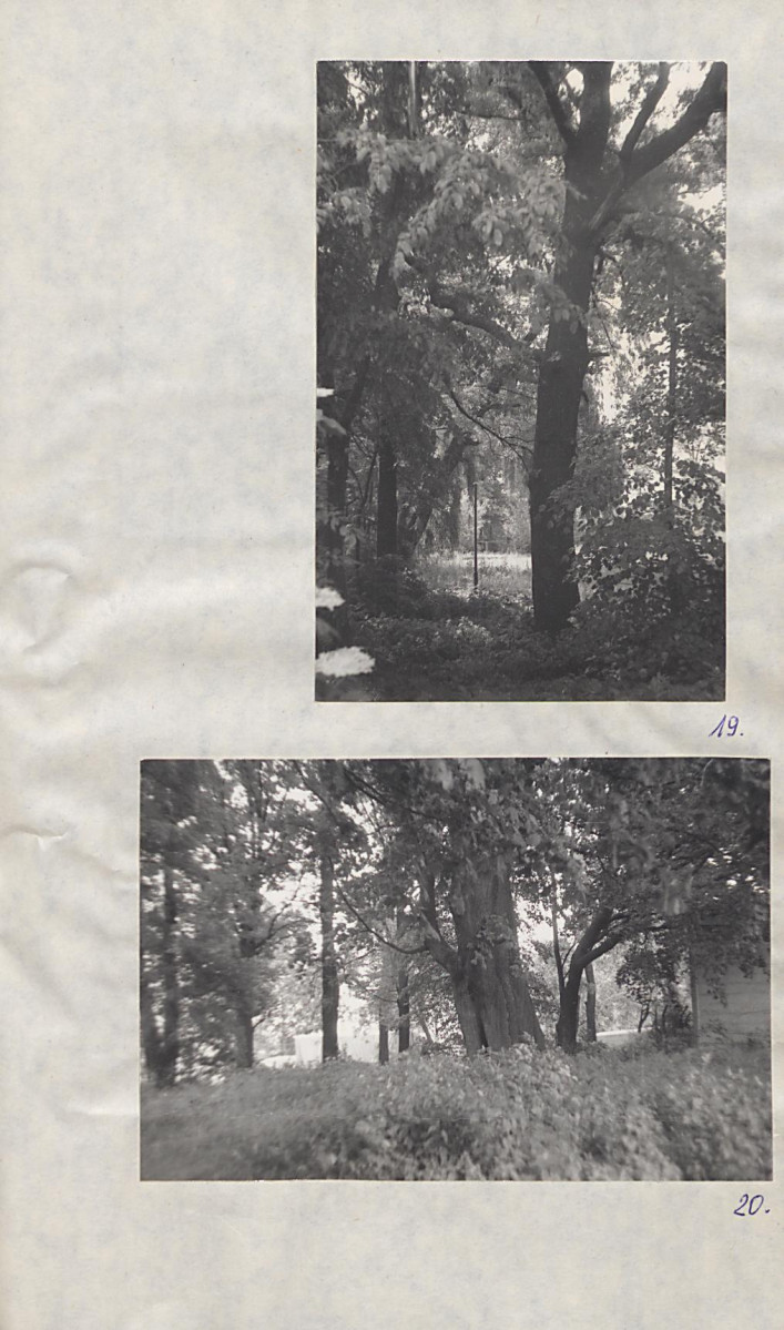 EP - Ewidencja parkowa, skan nr 38