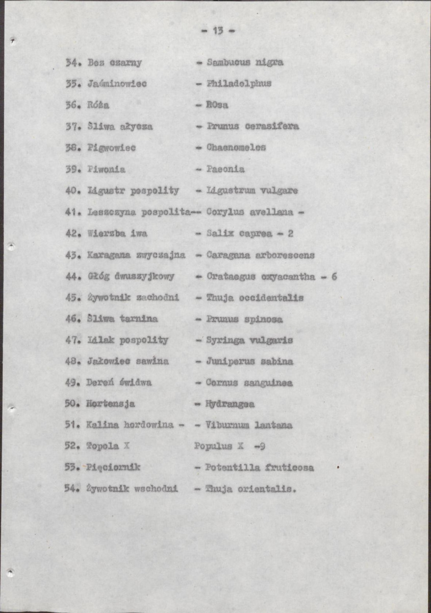 Ewidencja parkowa, skan nr 21