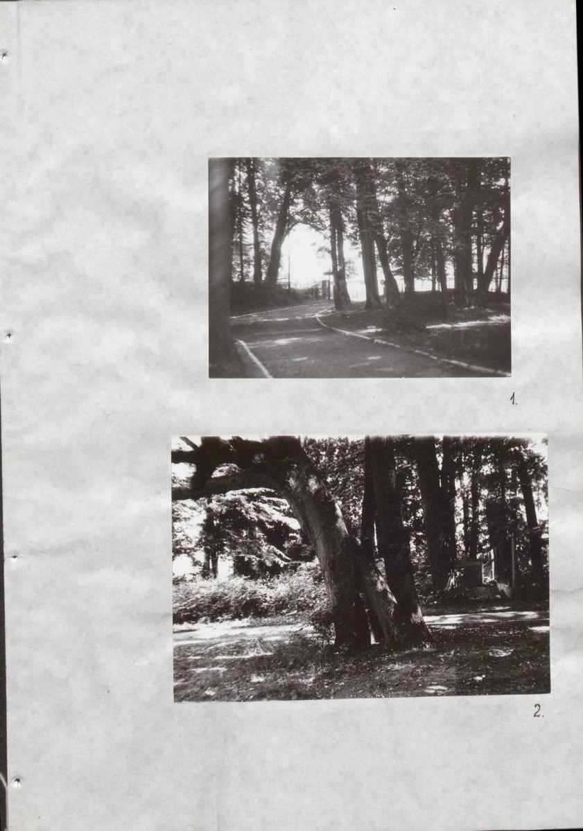 Ewidencja parkowa, skan nr 34