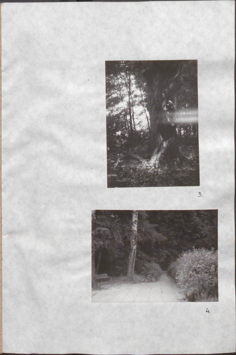 Ewidencja parkowa, skan nr 35