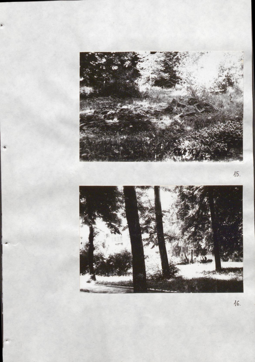 Ewidencja parkowa, skan nr 41