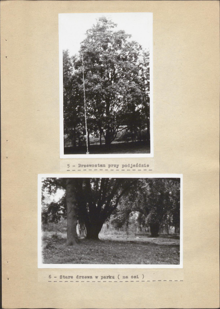 EP - Ewidencja parkowa, skan nr 22